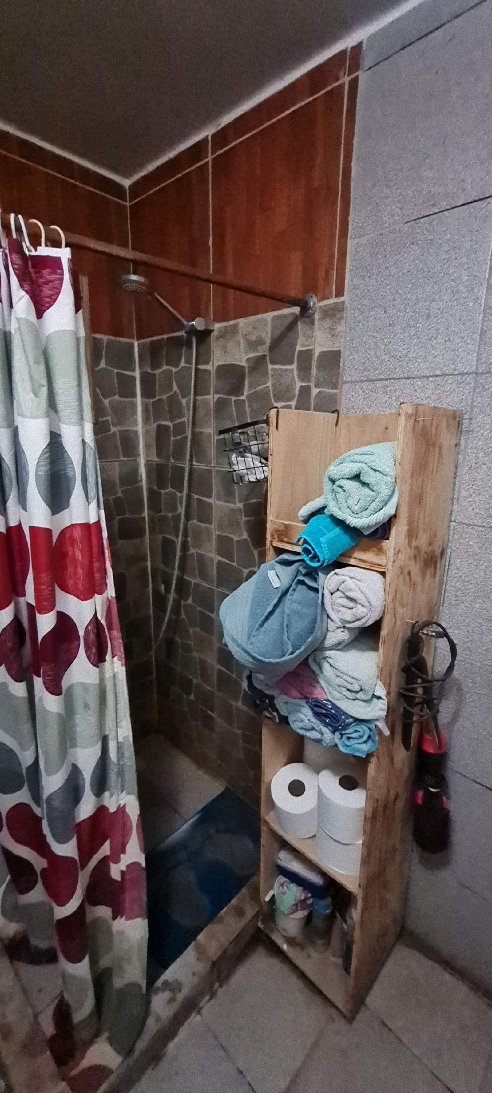 Baño antes de remodelar